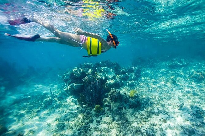 Family Fun-Snorkeling with Lunch Stop from Montego Bay - What the $110 price buys you