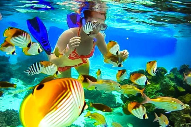 Family Fun-Snorkeling with Lunch Stop from Montego Bay - Pickup, private transport, and the ride to the water