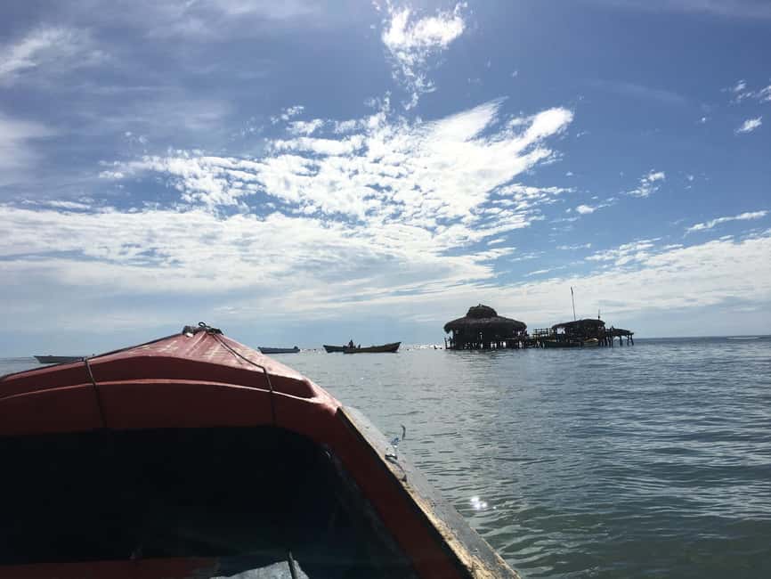 Floyd’s Pelican Bar, Ys Falls and Black River Safari Tour - Key points at a glance