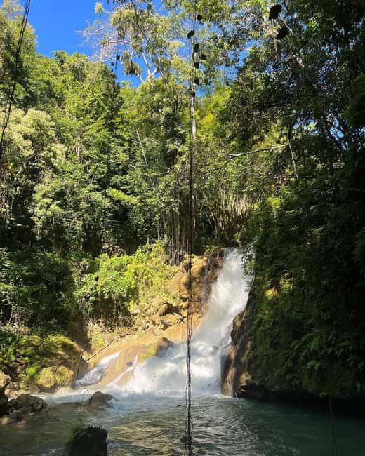 Floyd’s Pelican Bar, Ys Falls and Black River Safari Tour - Booking advice for a smoother day