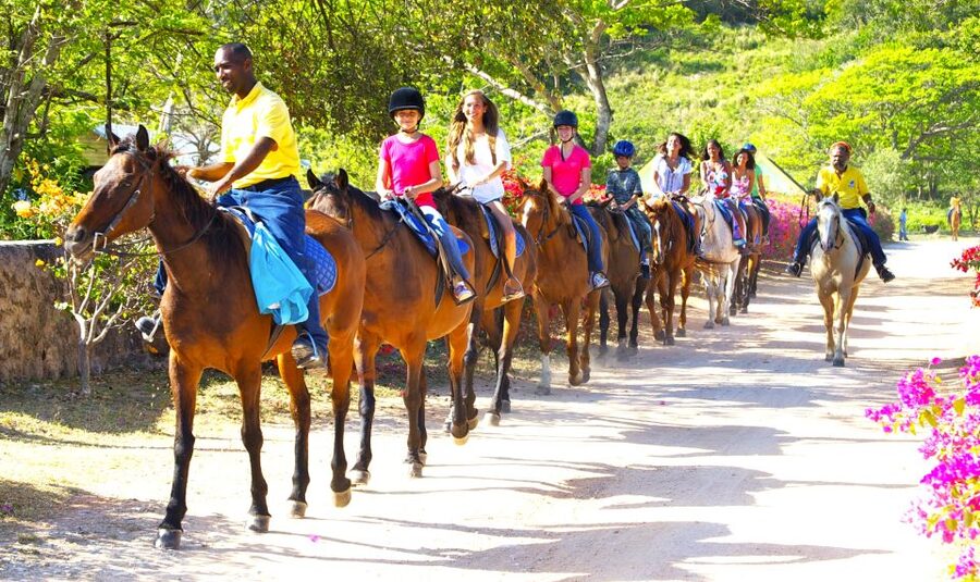 From Falmouth: Horseback Ride and Swim Beach Trip - Practical advice for a smoother day