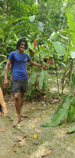 From Montego Bay: Blue Hole Waterfall Experience - Who should book this experience?