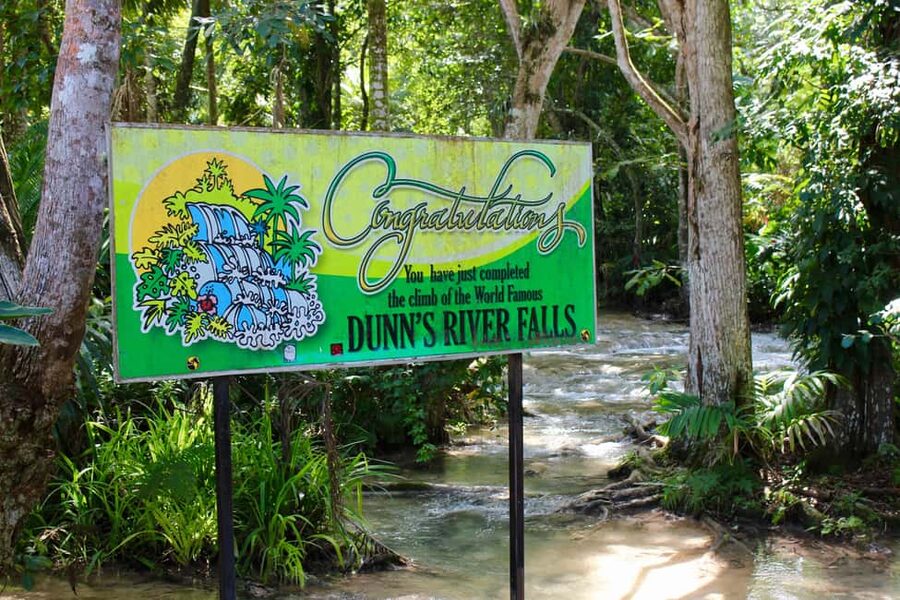 From Montego Bay: Dunn’s River Falls Experience - Who should book this outing
