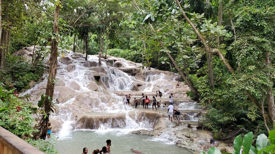 From Montego Bay: Dunn’s River Falls Experience - Practical advice for a smoother day