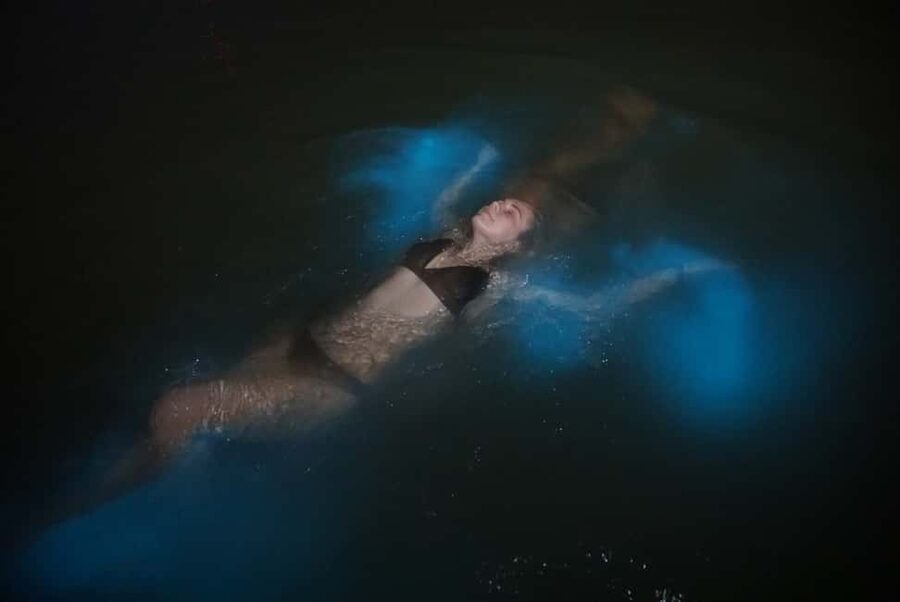 From Montego Bay: Luminous Lagoon Nighttime Boat Tour - Why the Luminous Lagoon Glows at Night