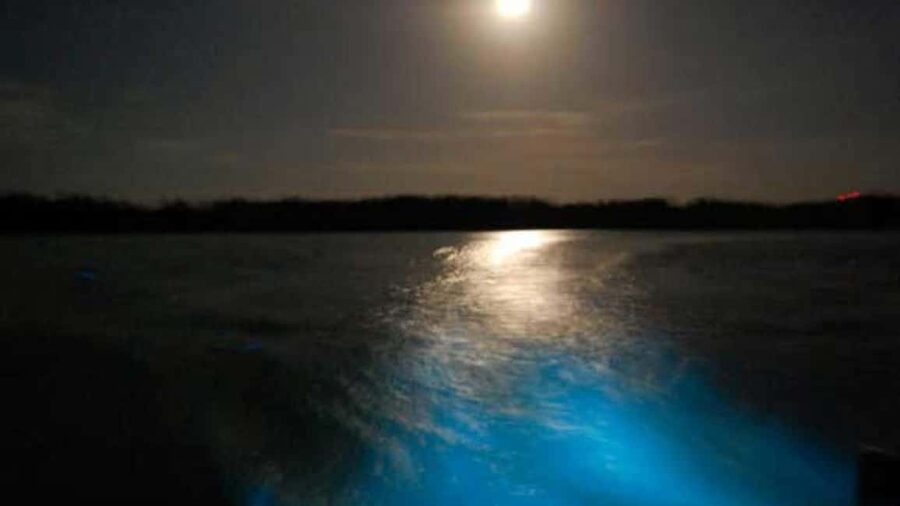 From Montego Bay: Luminous Lagoon Nighttime Boat Tour - Boarding the Night Boat in Falmouth