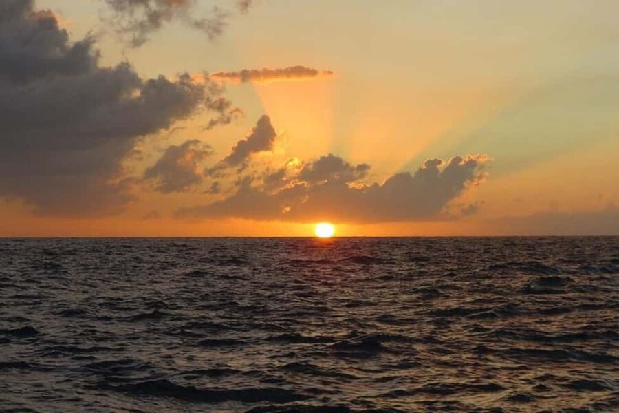 From Montego Bay: Negril Beach and Rick's Café Day Trip - Who will enjoy this Negril day trip?
