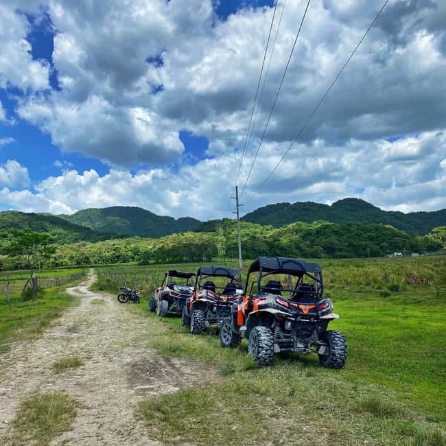 From Montego Bay/Negril: RastaSafari UTV Experience - Arrival, welcome drink, and the first plant lesson