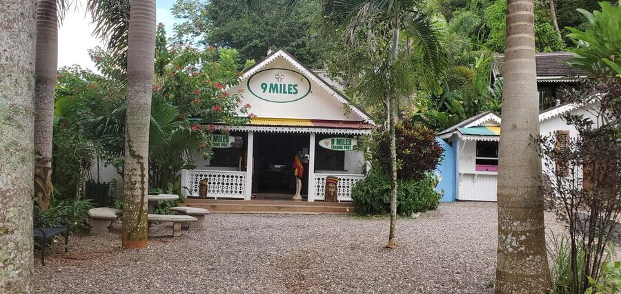 From Montego Bay: The Bob Marley Guided Tour of Nine Mile - The people who will enjoy this most