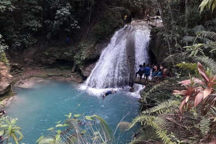 From Ocho Rios: Blue Hole & Dunn's River Falls Tour - Why the guides make a difference at the falls