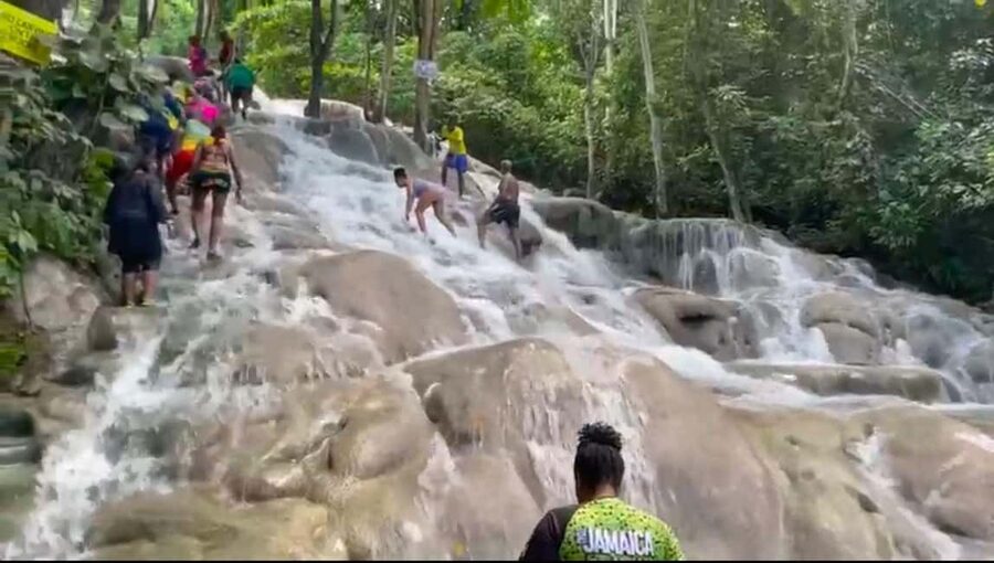 From Ocho Rios / Runaway Bay: Day Trip to Dunn's River Falls - Who will enjoy this most?