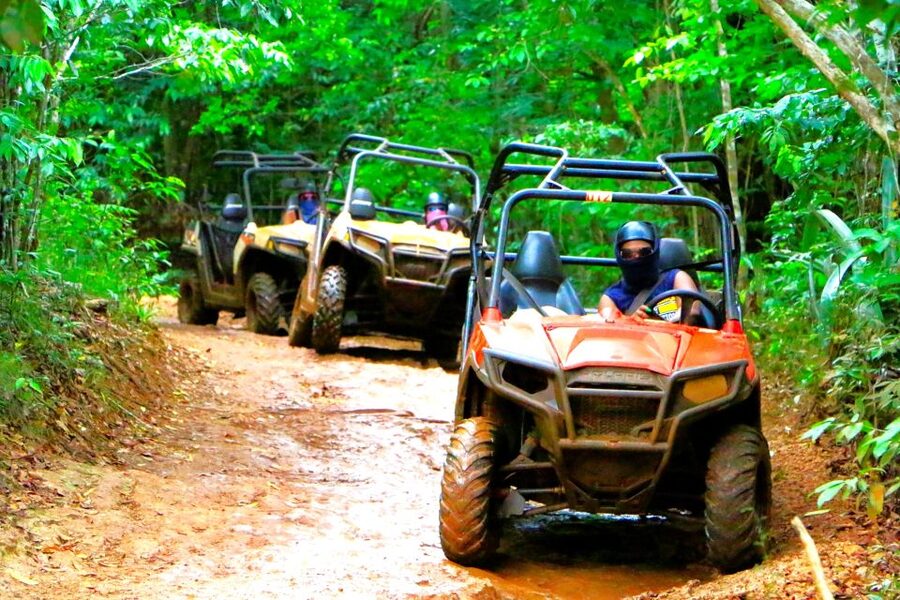 From Ocho Rios: Yaaman Adventure Park ATV Tour with Lunch - The bird aviary adds a gentler finish