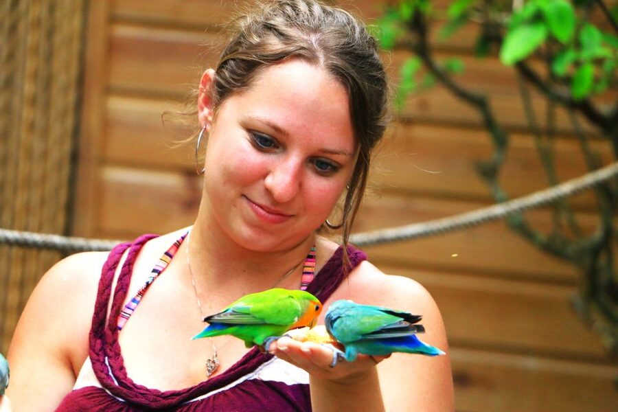 From Ocho Rios: Yaaman Adventure Park ATV Tour with Lunch - Hotel pickup from Ocho Rios