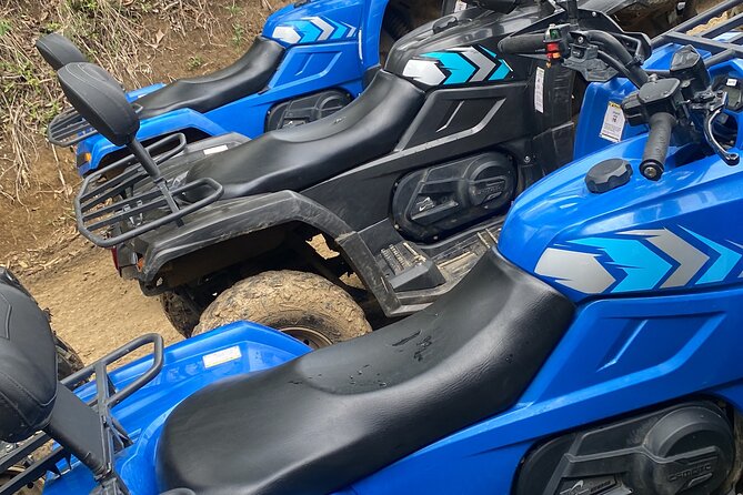 Full Day ATV Bush Trail and Water Sports Tour with Rick's Cafe - Is $145 a fair price?