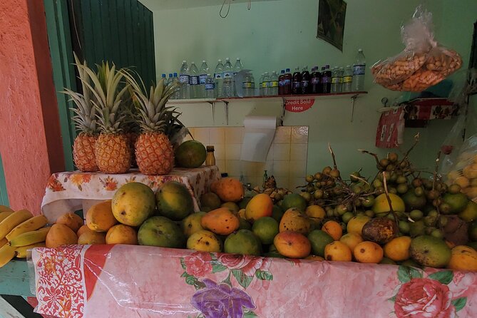 Full-Day Guided Tour to Dunns River Falls & shopping with lunch - Who will enjoy this tour most