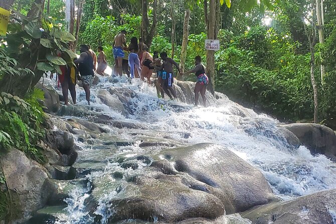 Full-Day Guided Tour to Dunns River Falls & shopping with lunch - Booking details that matter