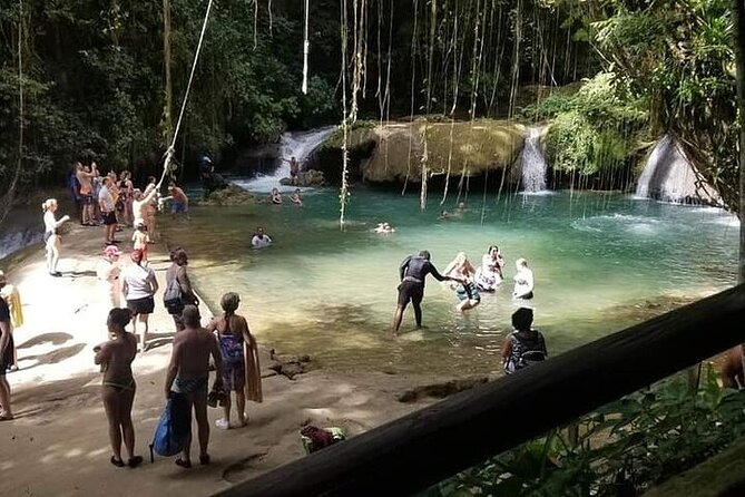 Full-Day South Coast - YS Falls, Pelican Bar & Black River Safari - Black River Safari: mangroves, birds, and river wildlife