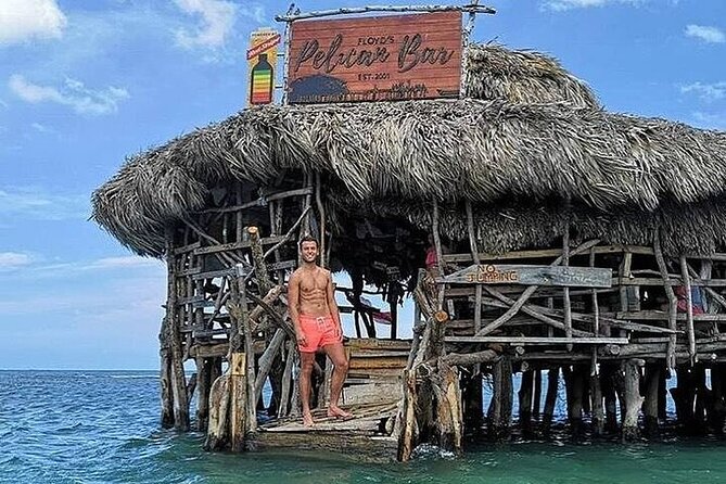 Full-Day South Coast - YS Falls, Pelican Bar & Black River Safari - Who should book this day out