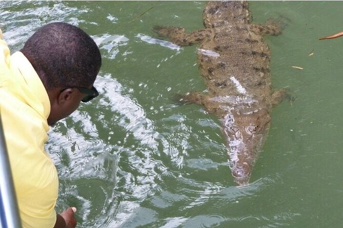 Full-Day South Coast - YS Falls, Pelican Bar & Black River Safari - Leaving Negril for Saint Elizabeth Parish