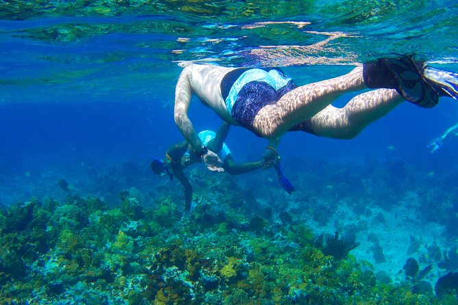 Glass Bottom Boat Ride/Snorkeling/Booby Cay Island from Negril - Key things to know before you book