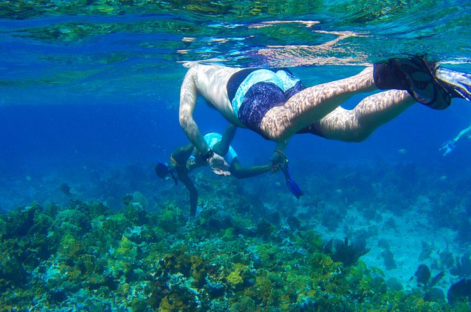 Glass Bottom Boat Ride/Snorkeling/Booby Cay Island from Negril - Is $65 a fair price?