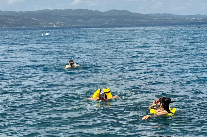 Glass bottom Boat Tour and Snorkeling Experience in Montego Bay - Making sense of the $110 price