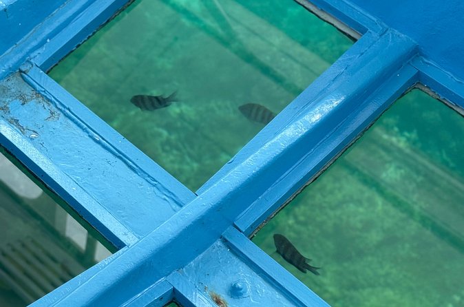 Glass bottom Boat Tour and Snorkeling Experience in Montego Bay - Practical details that affect the day