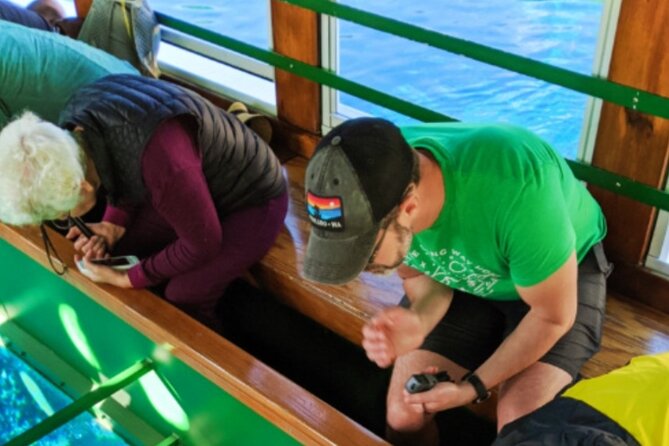 Glass Bottom Boat Water Activity in Montego Bay Jamaica - The Glass Bottom View