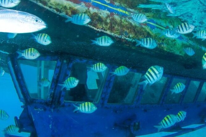 Glass Bottom Boat Water Activity in Montego Bay Jamaica - Private Transport Makes the Timing Easier