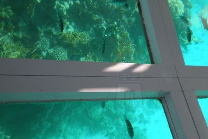 Glass Bottom Boat Water Activity in Montego Bay Jamaica - Passing the Beach and Watersports Area