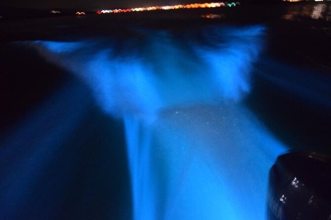 Glow with the Flow: A Romantic Night at the Luminous Lagoon”) - The private ride from Montego Bay