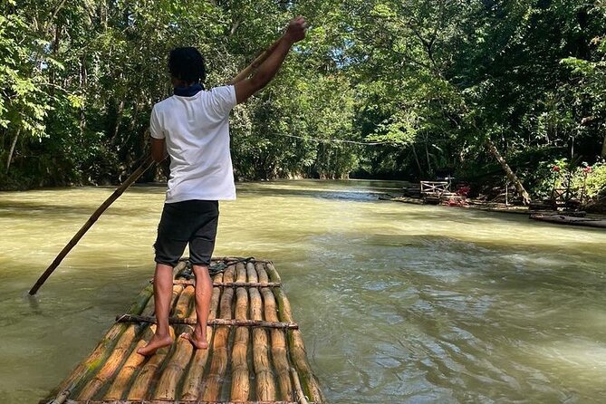Great River Bamboo Rafting and Bird Sanctuary Combine Tour From Montego Bay - Why this bird-and-river pairing works