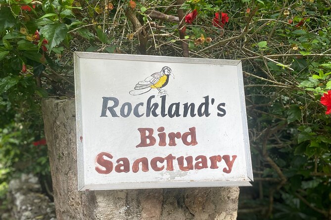 Great River Bamboo Rafting and Bird Sanctuary Combine Tour From Montego Bay - Who will enjoy this outing most