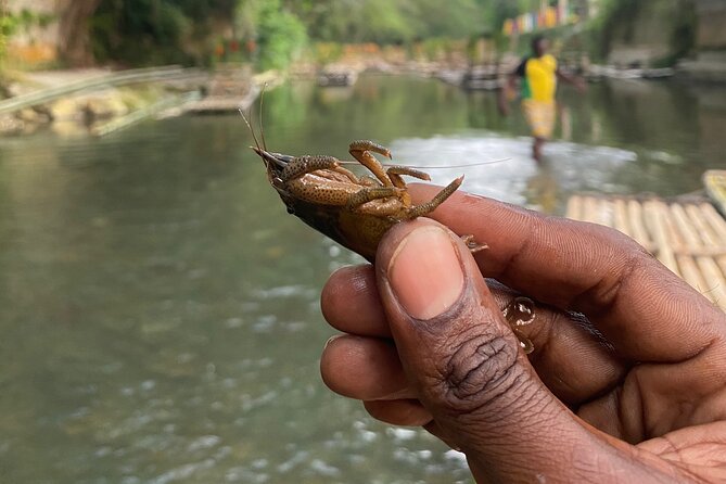 Great River Rafting - Limestone Foot Massage and ATV Rides From Montego Bay - Should you book the Great River and ATV tour?