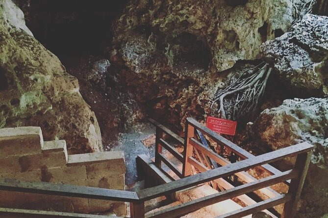 Green Grotto Cave Tour from Montego Bay - A closer look at the $80 price
