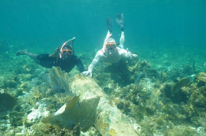 Guided Snorkeling at the Anchor and Cannon Reef in Negril - Forty-five minutes at Anchor and Cannon Reef