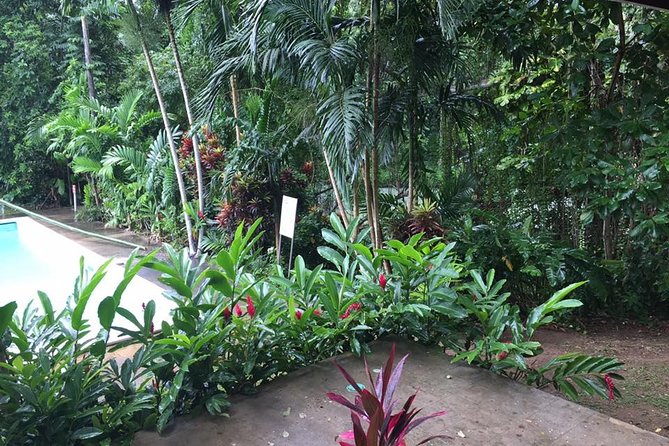 Half-Day Private Martha Brae Rafting Tour from Montego Bay - Who will enjoy this Martha Brae outing?