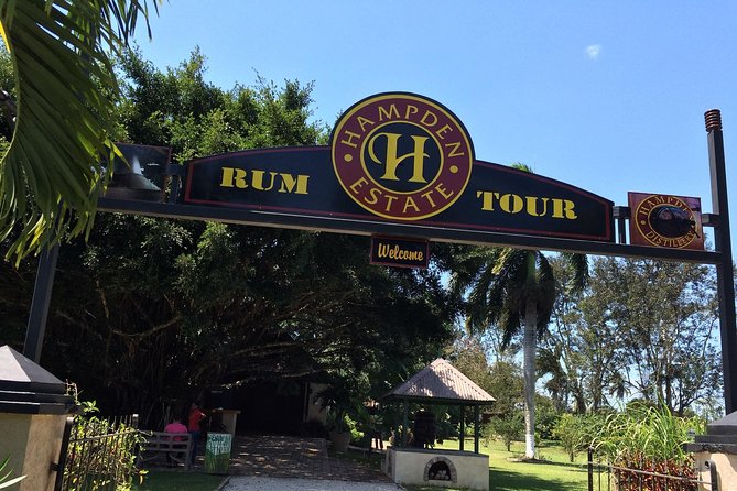 Hampden Estate Rum Tour and Lunch from Falmouth - From Falmouth port to the Jamaican countryside