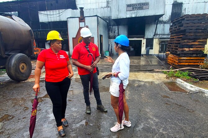 Hampden Estate Rum Tour and Lunch from Montego Bay - My call on Hampden Estate