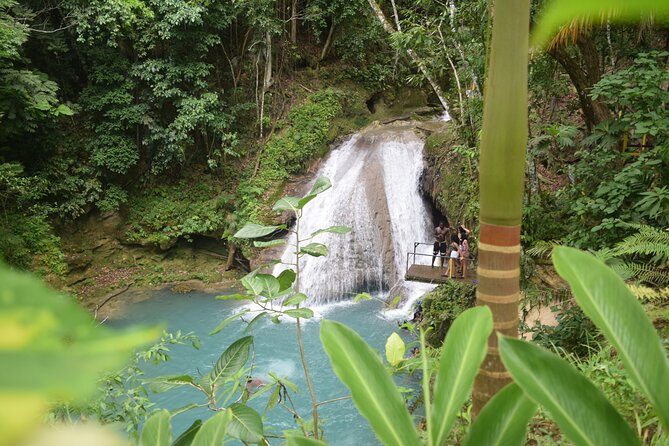 Horse Back Riding and Blue Hole From Montego Bay - Scotchies Drax Hall and the Jamaican jerk stop