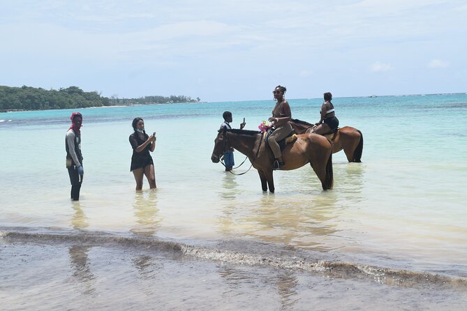 Horse Back Riding and Blue Hole From Montego Bay - Horseback riding to the beach and into the sea
