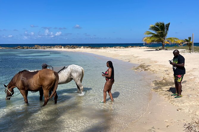 Horseback Ride and Swim Guided Tour from Montego Bay - What the $160 price includes