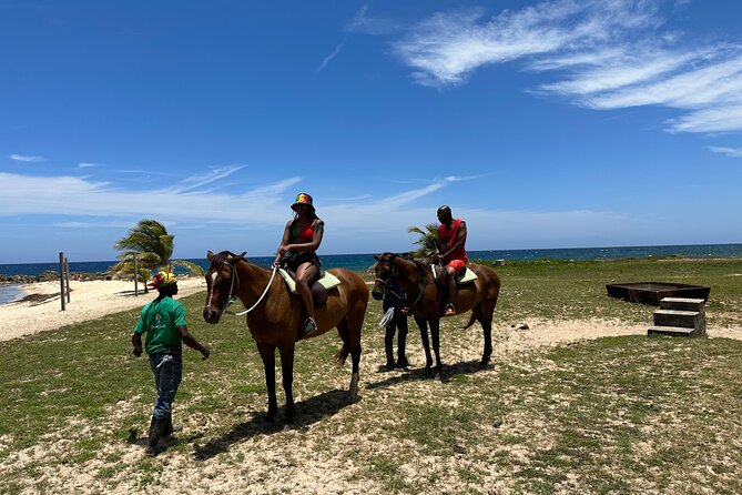 Horseback Ride and Swim Guided Tour from Montego Bay - Who will enjoy this most