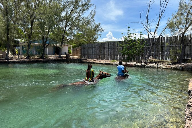 Horseback Ride and Swim Guided Tour from Montego Bay - Practical preparation for the beach and saddle