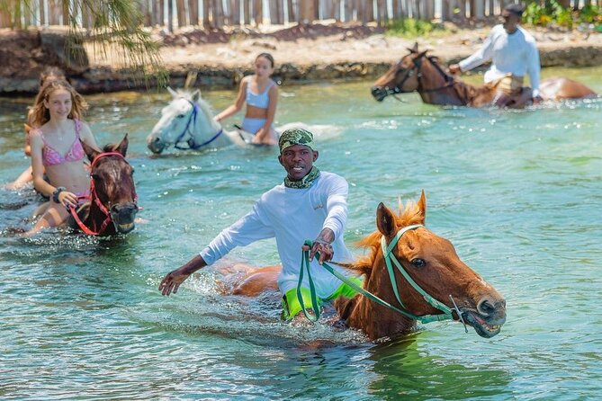 Horseback Ride and Swim Jamaica - Horses, guides, and the care behind the ride