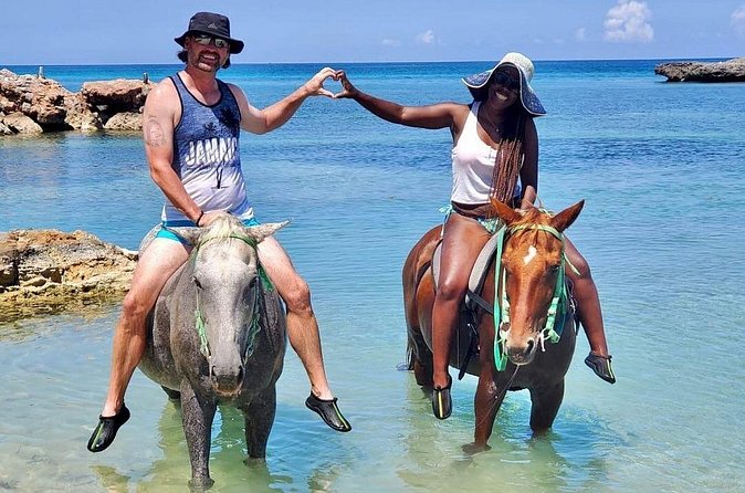 Horseback Ride and Swim Jamaica - Who will enjoy this most?