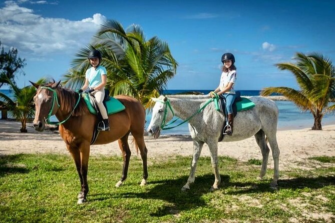 Horseback Ride and Swim Jamaica - What the one-hour itinerary feels like