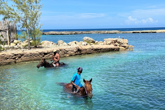 Horseback Ride and Swim Tour In Montego Bay - The Caribbean Swim With Your Horse