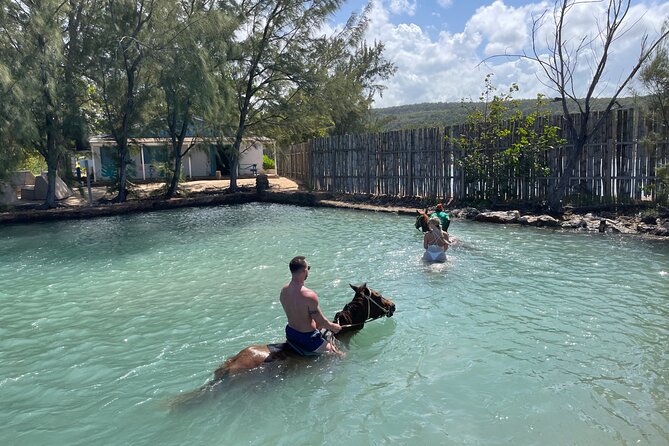Horseback Ride and Swim Tour In Montego Bay - Who Should Book This Ride