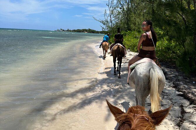 Horseback Ride and Swim Tour In Montego Bay - Riding Through Farmland Near Montego Bay